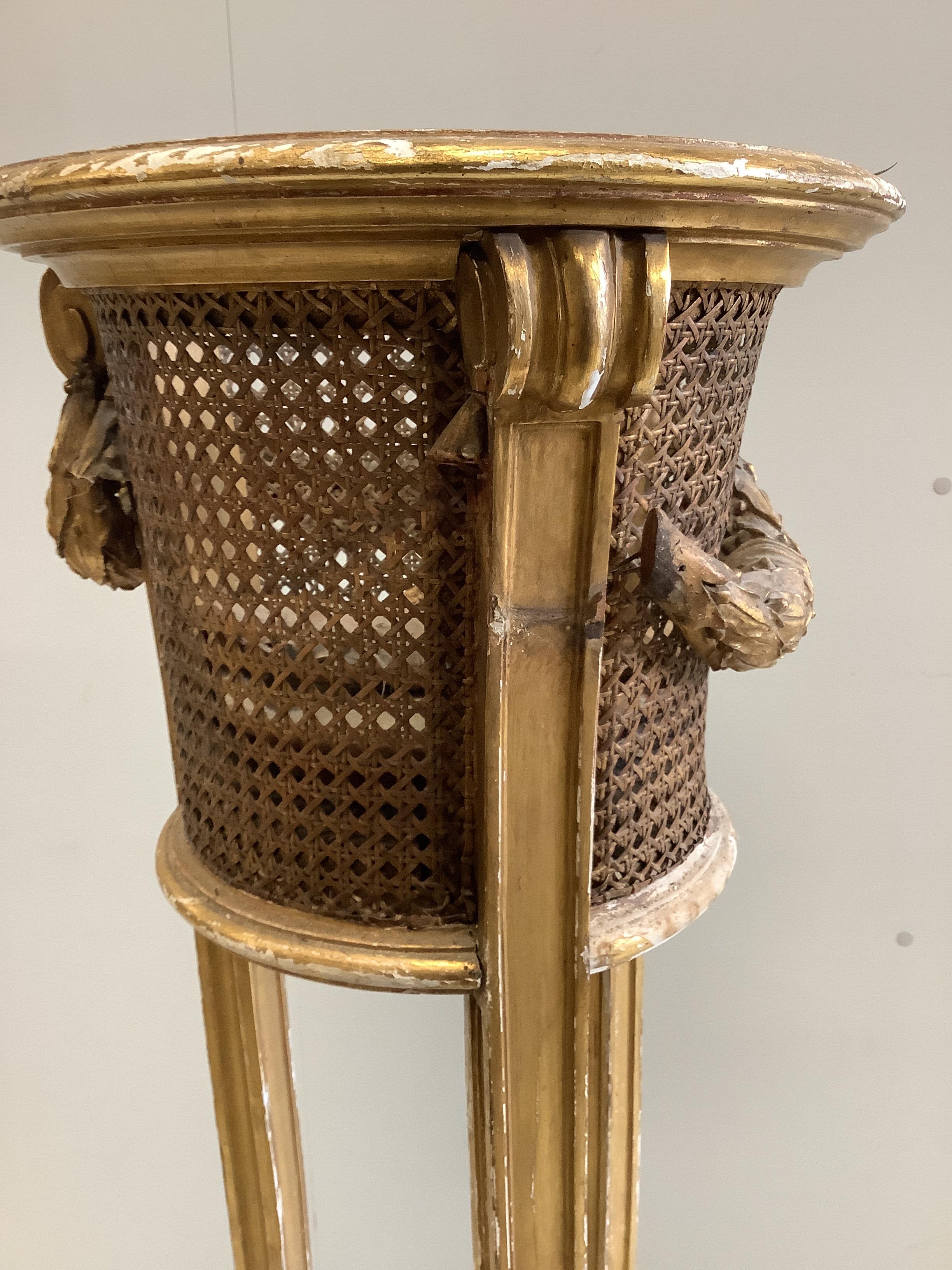 A carved giltwood and composition caned jardiniere stand, diameter 34cm, height 110cm (a.f.)
